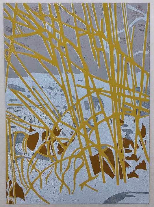 Prairies Edge Last January