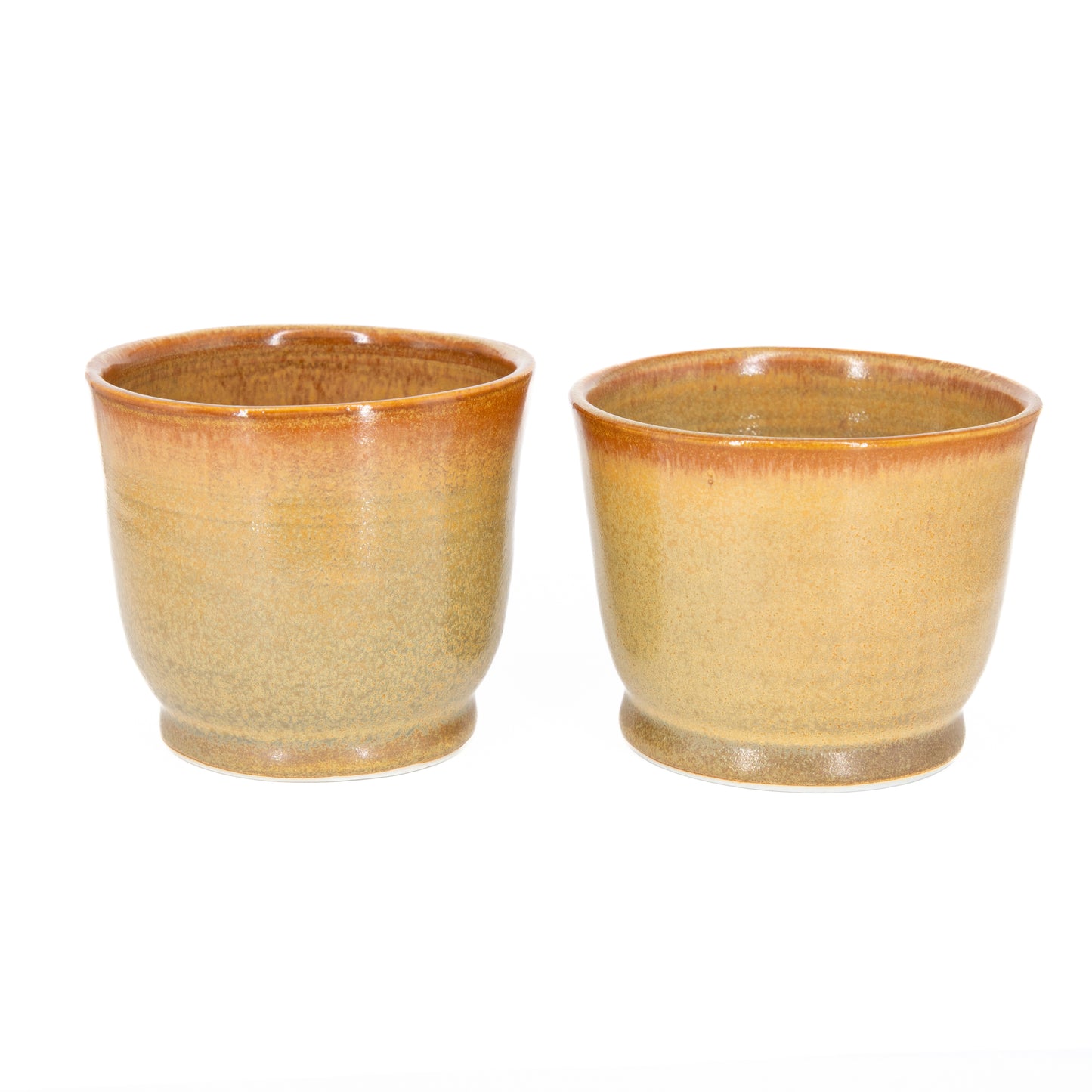 Orange Cup