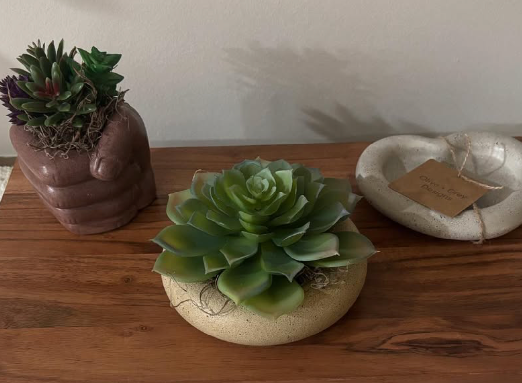 Concrete Fist with Succulent