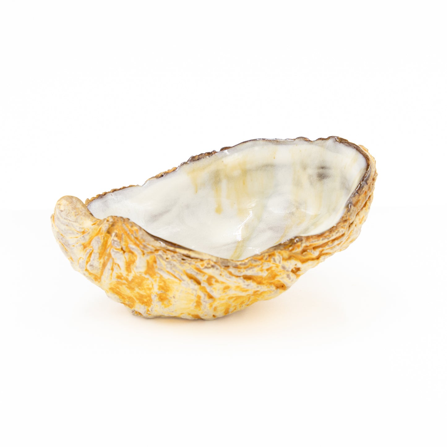 Small White Shell