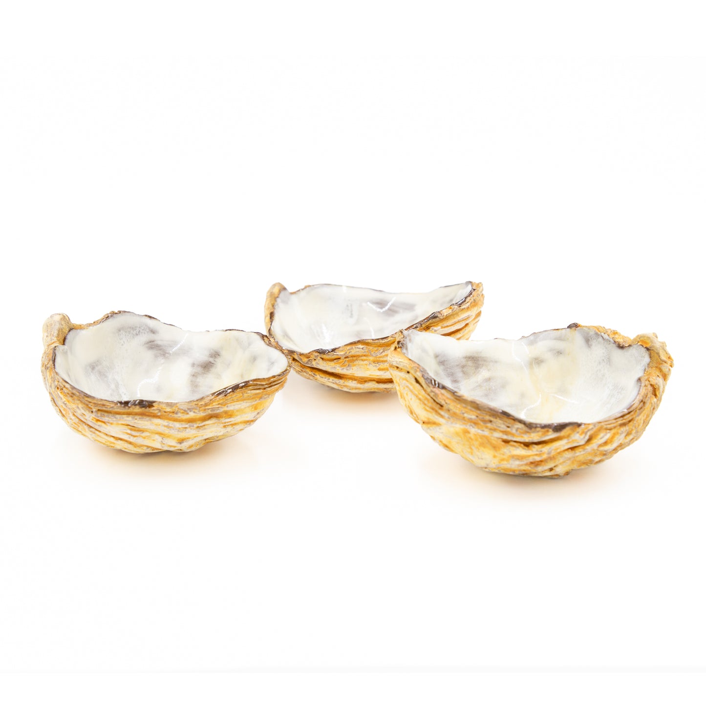 Small White Shell
