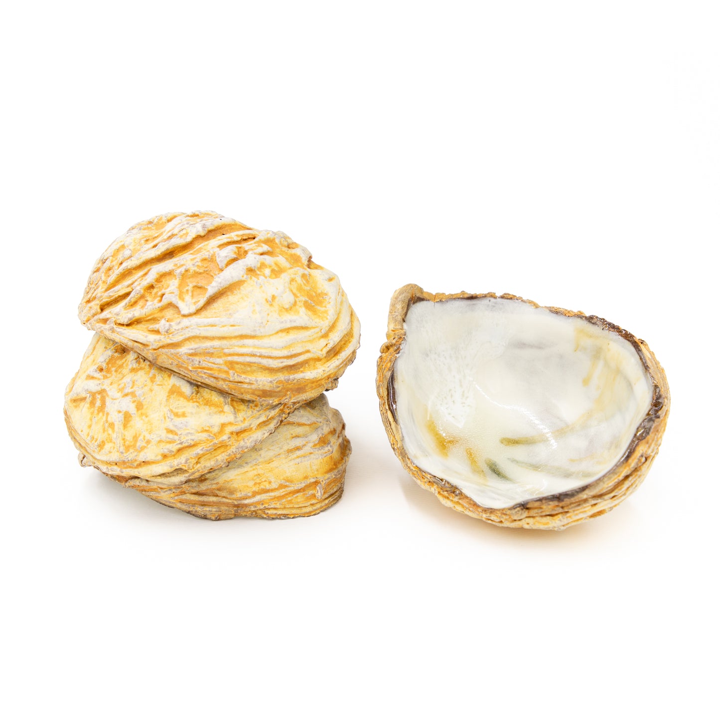 Small White Shell