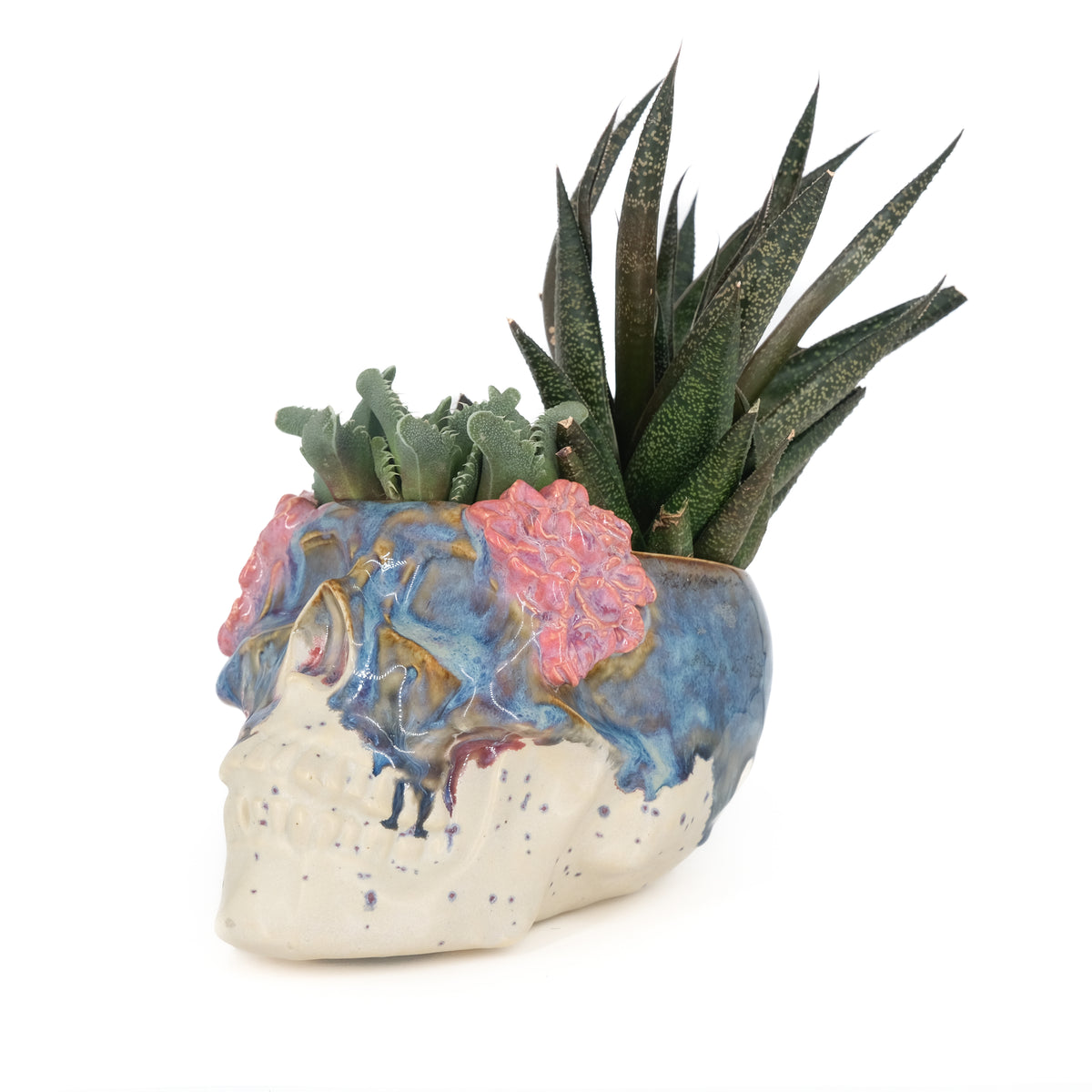 Skull Planter