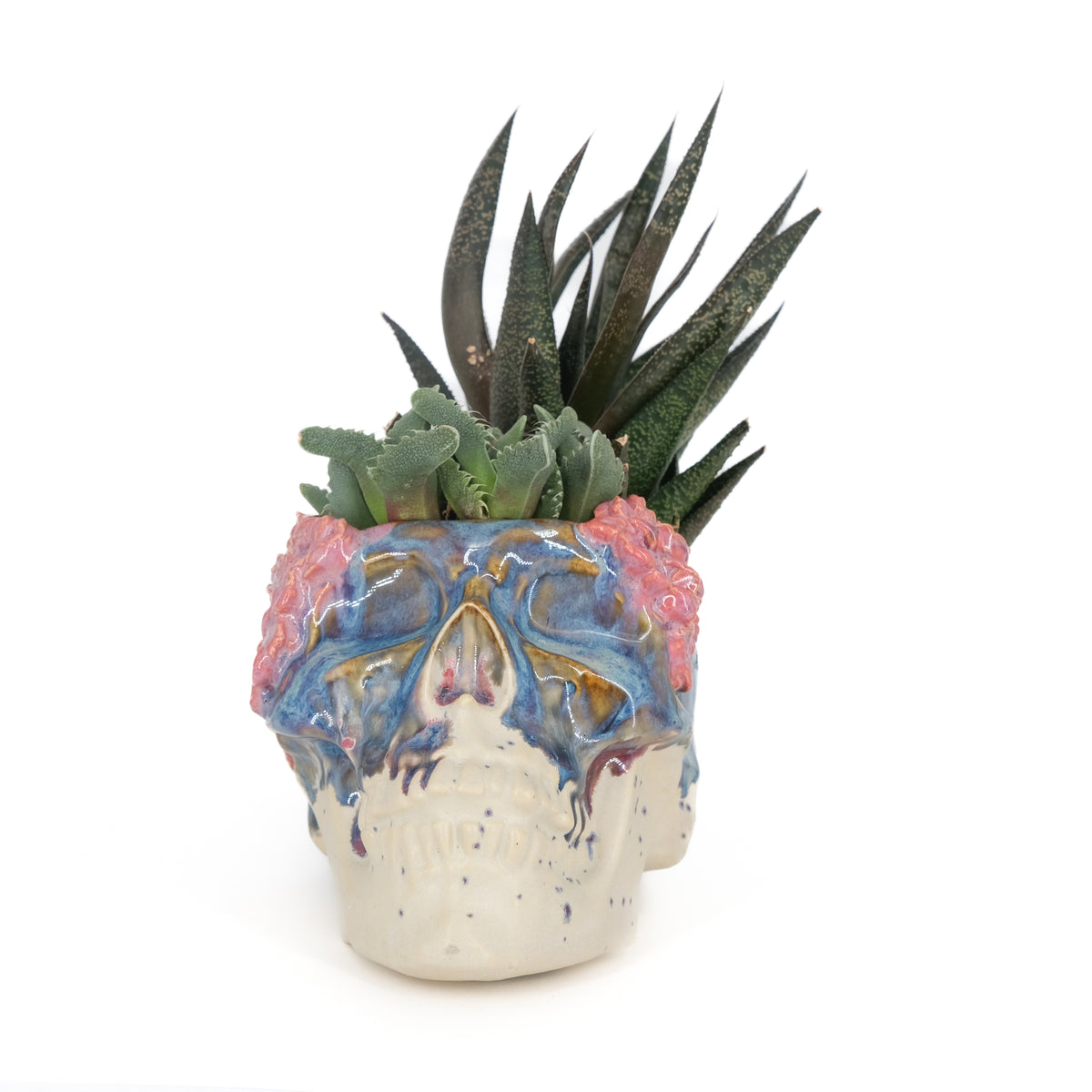 Skull Planter