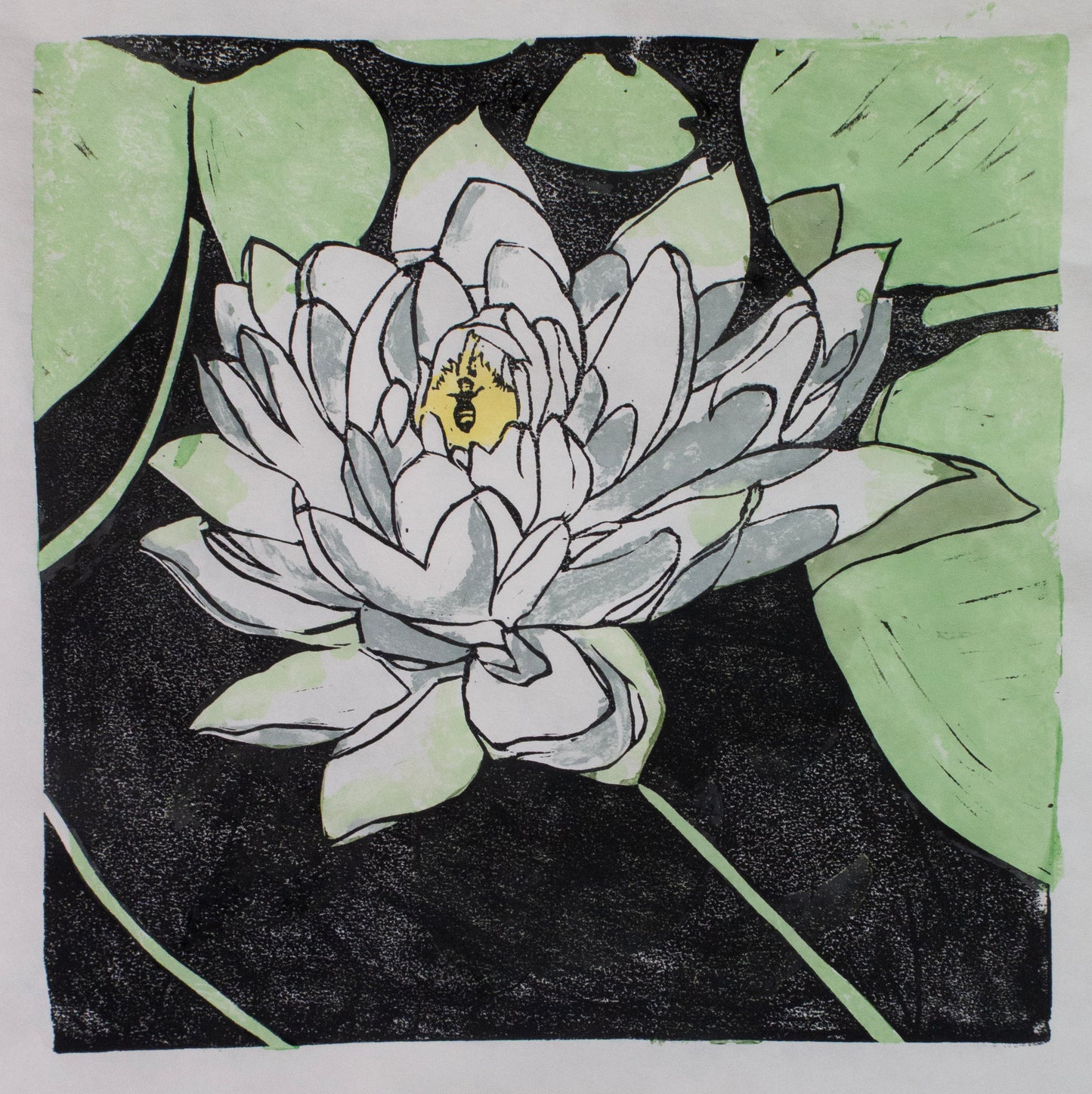 Water Lily