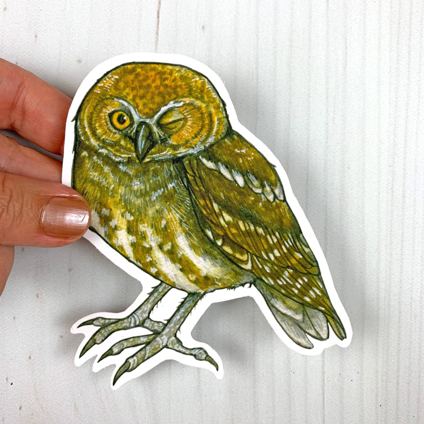 Elf Owl Vinyl Sticker