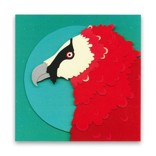 Bird Vulture Card