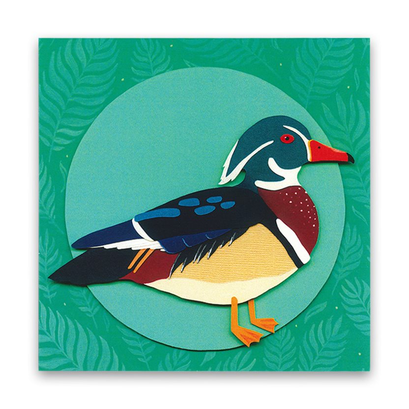 Wood Duck Card