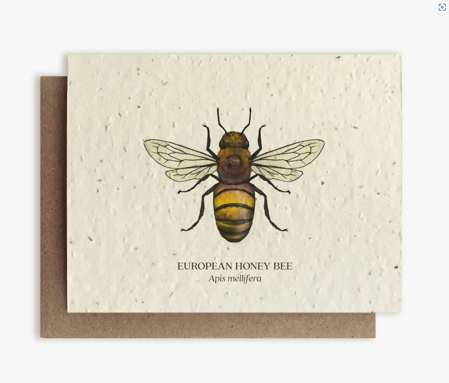 Honey Bee Plantable Card