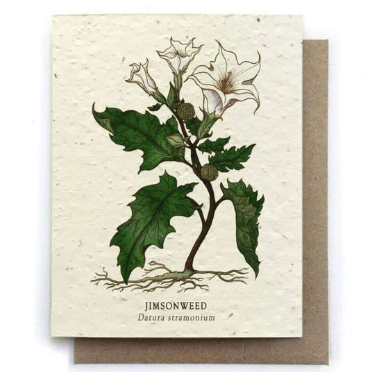 Jimsonweed Plantable Card