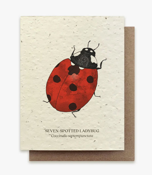 Ladybug Plantable Card