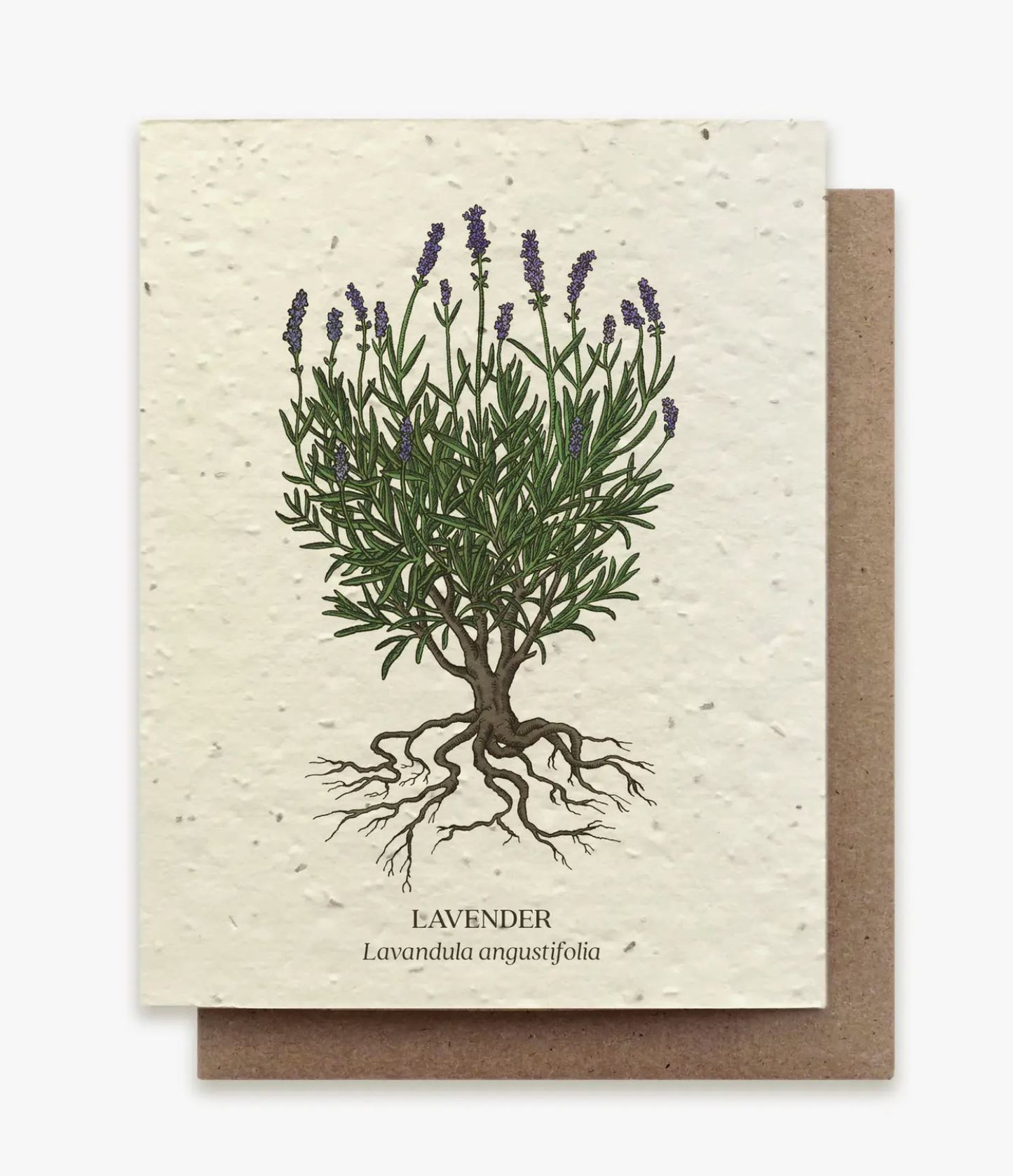Lavender/Iris Plantable Card