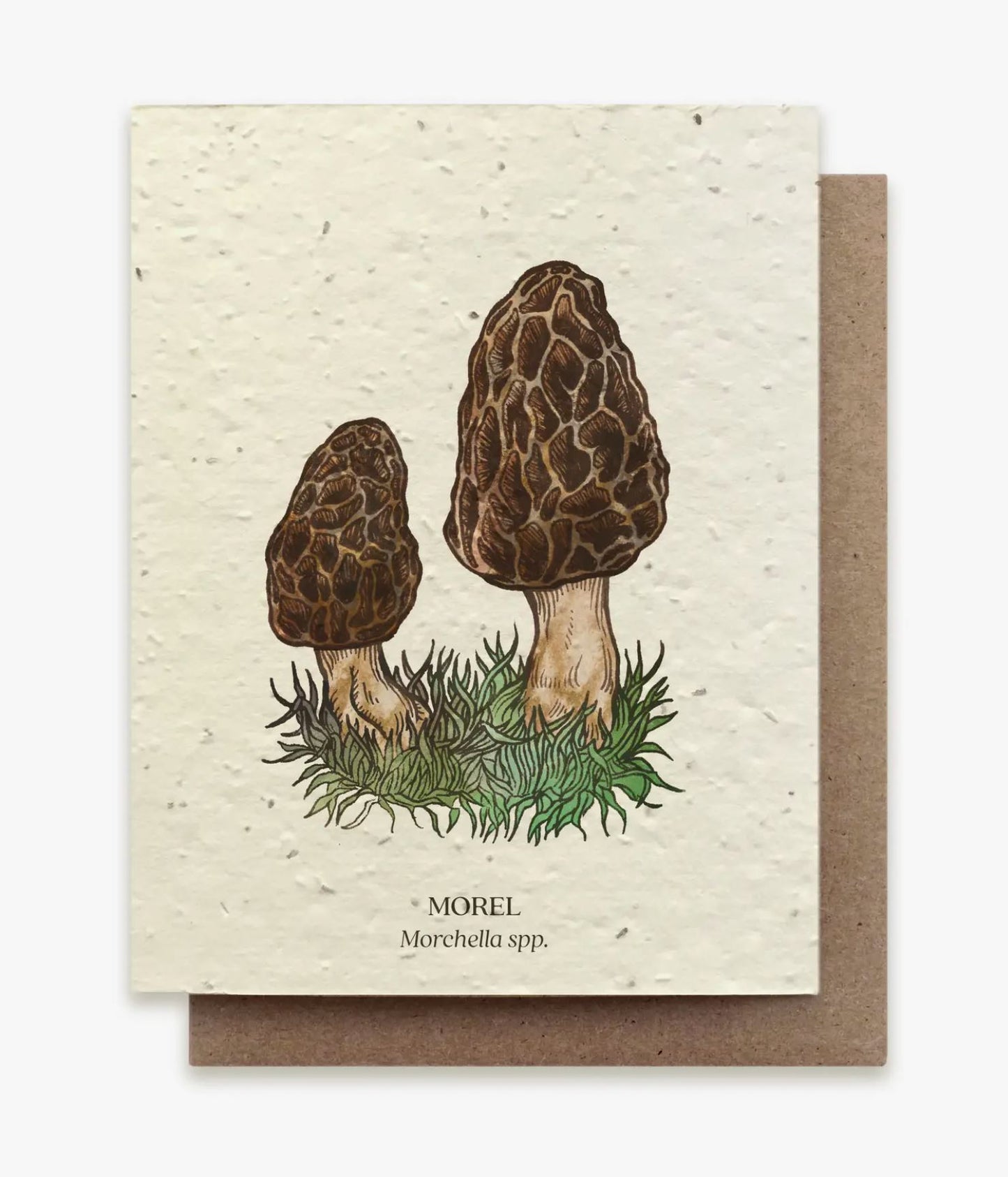 Mushroom Plantable Card